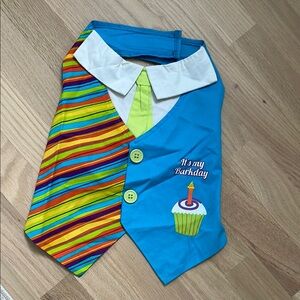 Colorful Birthday Dog Bandana